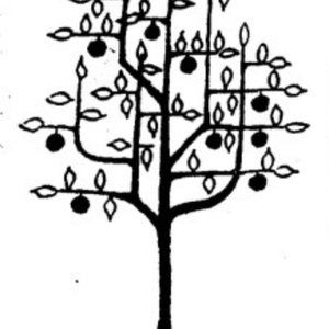 Meet your Posher, Amethyst